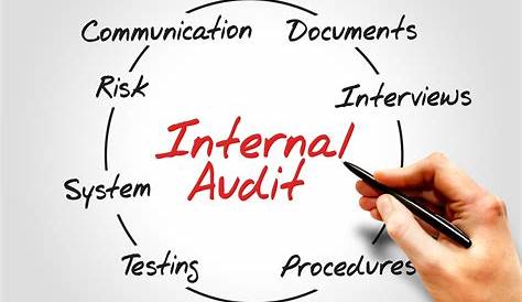 Function Of Internal Auditor in 2020 | Risk management, Auditor
