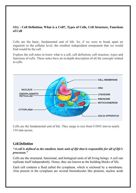 function cell definition computer science