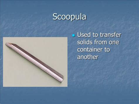 Function For Scoopula