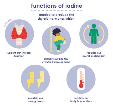 Understanding The Function In The Body That Defends Against Radiation
