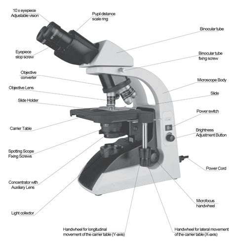 Function Microscope Definition