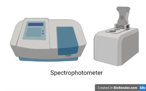 Function Of A Spectrophotometer In A Microbiology Lab