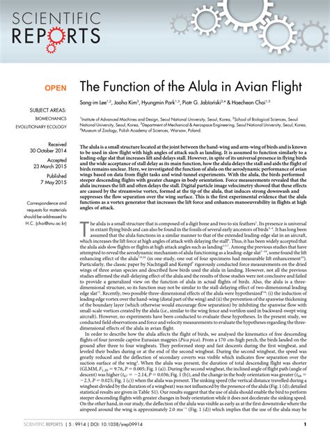 Function Of Alula