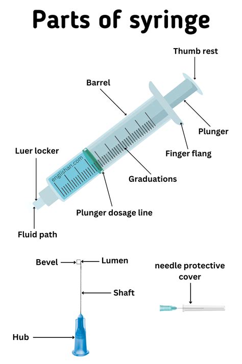 Function Of Barrel In Syringe