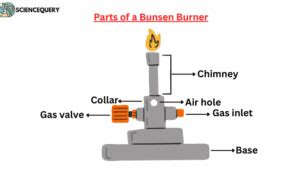 Function Of Bunsen Burner