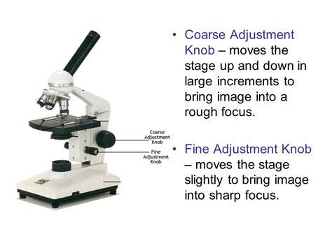 Function Of Coarse Adjustment Knob In Microscope