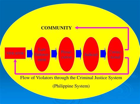 function of community in criminal justice system in the philippines