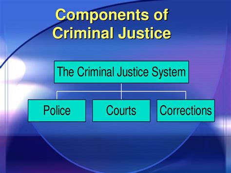 function of corrections in criminal justice system