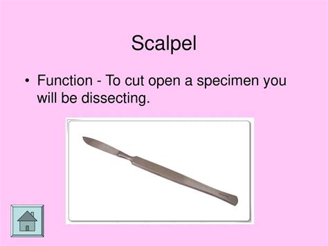 Function Of Dissecting Scalpel