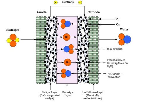 Function Of Electrolyte In Fuel Cell