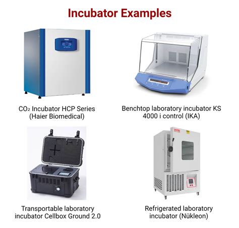 Function Of Lab Incubator