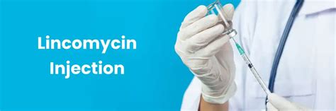 Function Of Lincomycin Injection