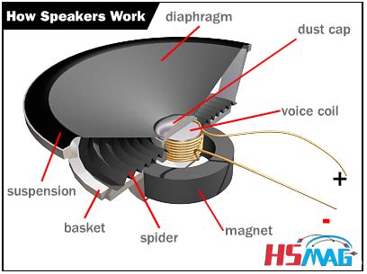 Function Of Magnet In An Audio Speaker