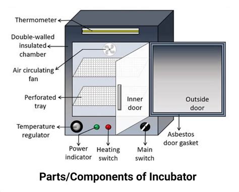 Function Of Microbiology Incubator