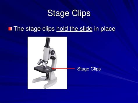 Function Of Microscope Stage Clips