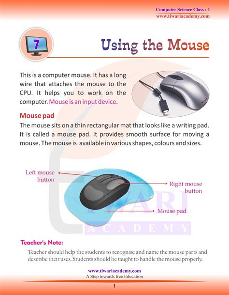 function of mouse for class 2