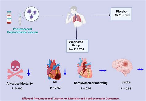 Function Of Pneumococcal Injection