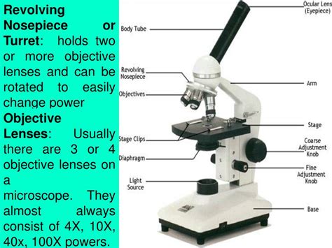 Function Of Revolving Nosepiece In Compound Microscope