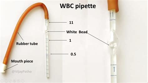 Function Of The Bead In The Wbc Pipette