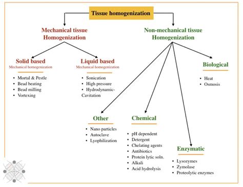 Function Of Tissue Homogenization