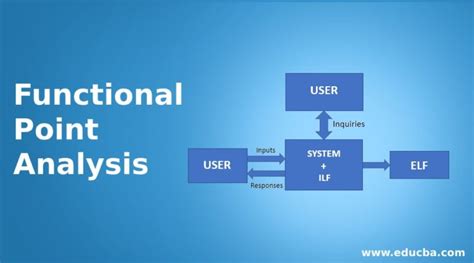 function point in software engineering example