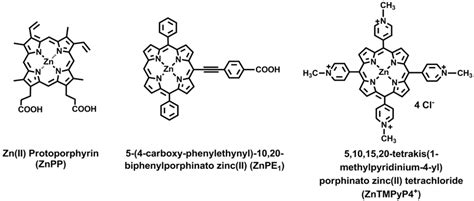 Function Zinc Protoporphyrin