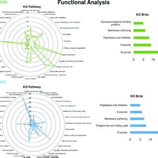Functional Characterization Of Proteins