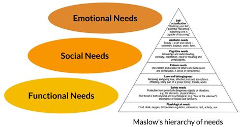 functional needs examples
