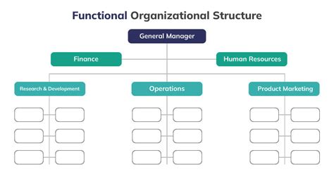 functional organizational structure