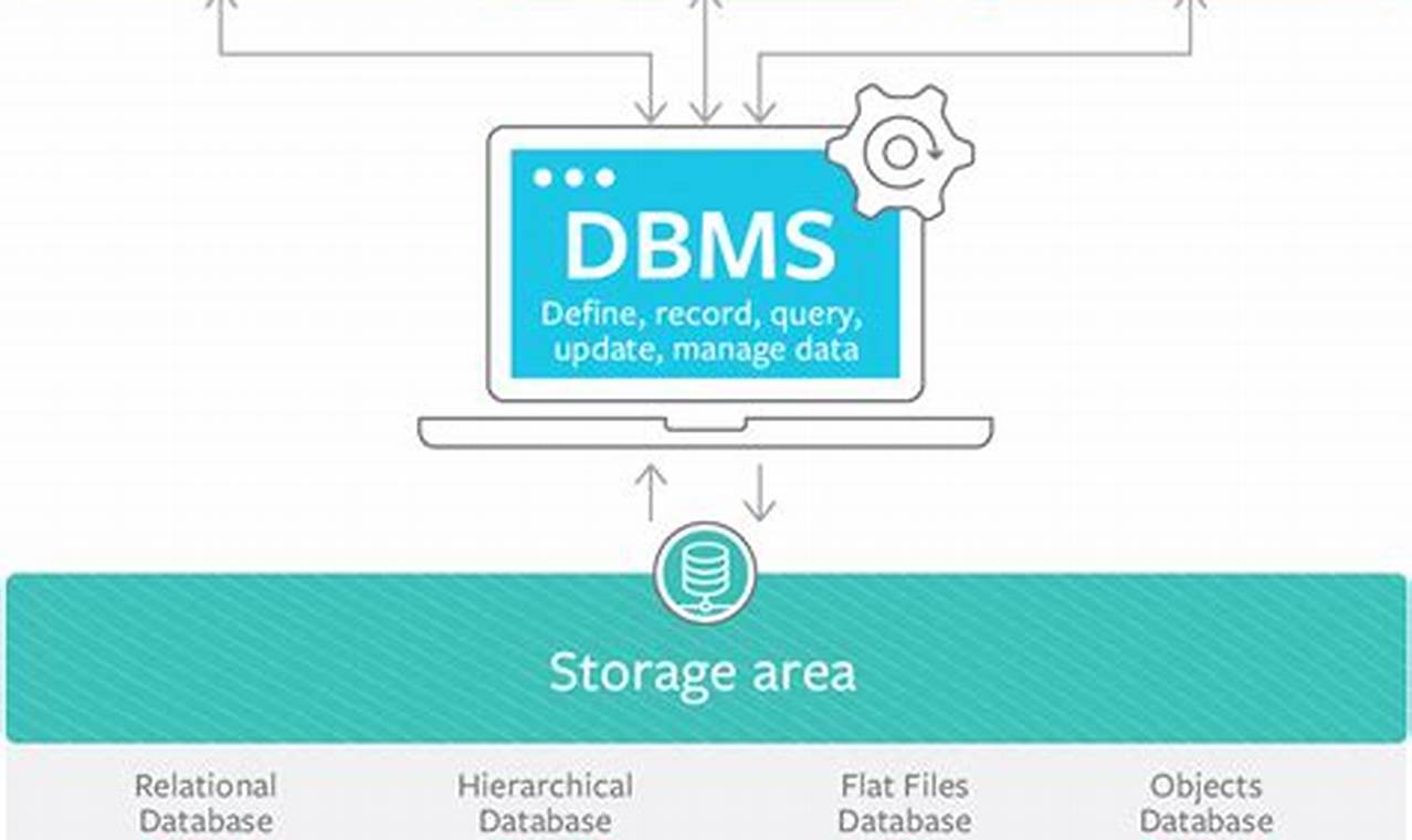 functionalities of dbms