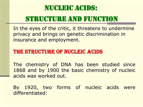 Functions Of Nucleic Acids Ppt