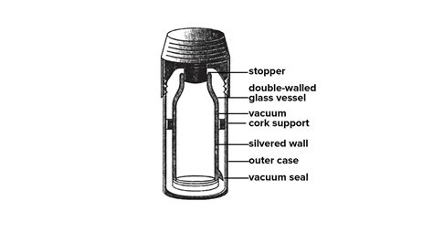 Functions Of Parts Of A Vacuum Flask