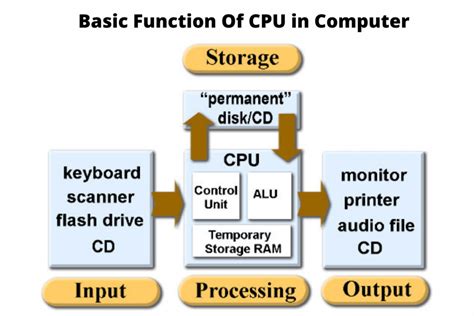 functions of the cpu pdf