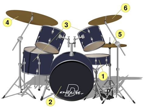 Functions Of The Drum