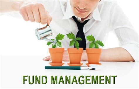 fund management industry in mauritius