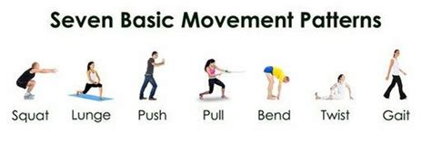 Fundamental Exercise Examples