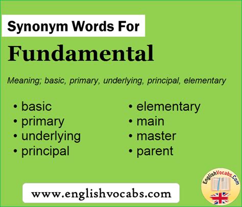 fundamental synonym words