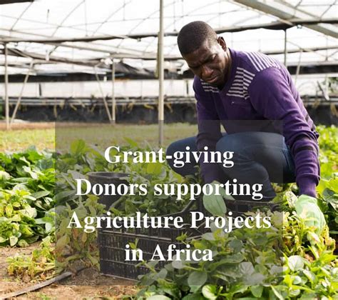 funding for agricultural projects in africa