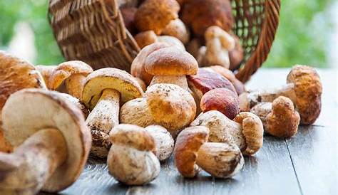 Funghi Anti Cholesterol, Stuffed Mushrooms, Vegetables, Food, Healthy