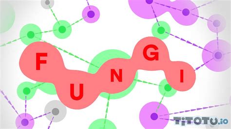 Fungi.io Game