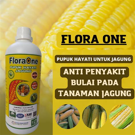 fungisida terbaik untuk jagung di Indonesia