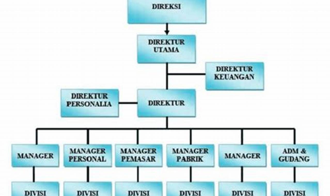 fungsi atau kegunaan struktur organisasi adalah sebagai dasar