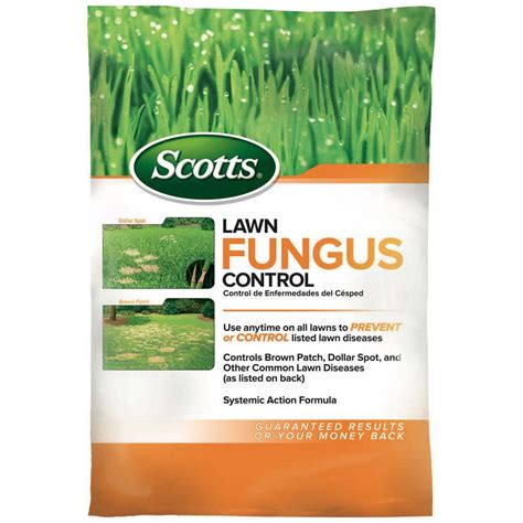 fungus control lawn