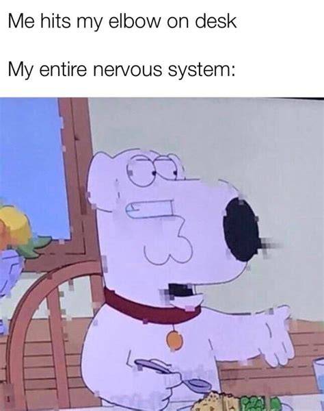 41 Dank Memes Of The Week Funny Gallery eBaum's World