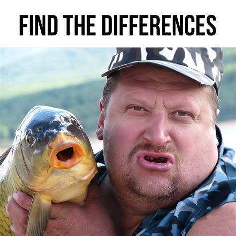 Pin by Evelyn on Life Lessons Fishing memes, Funny fishing memes