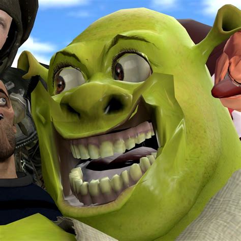 funniest shrek memes you need to see
