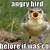 funny bird captions