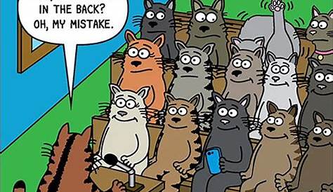 Pin by Tiffany Rose Princess on Scott Metzger Cartoons | Cats funny