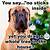 funny christmas dog quotes