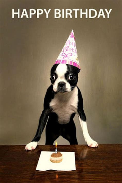 Funny Dog Saying Happy Birthday
